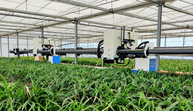 服务标准：负载失衡对定制化施工方案的影响分析
